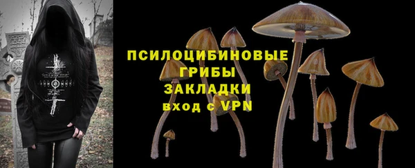 тгк Белокуриха