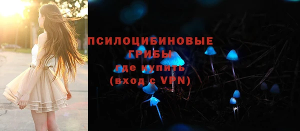 тгк Белокуриха