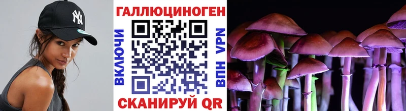 Псилоцибиновые грибы Psilocybe цены Кушва