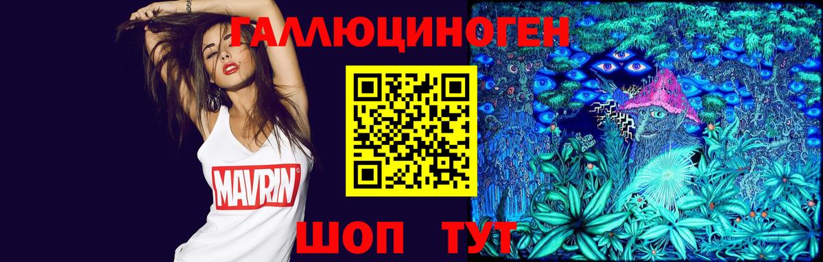 Галлюциногенные грибы Psilocybine cubensis  Псилоцибиновые грибы мухоморы  Кушва  Вход с VPN 